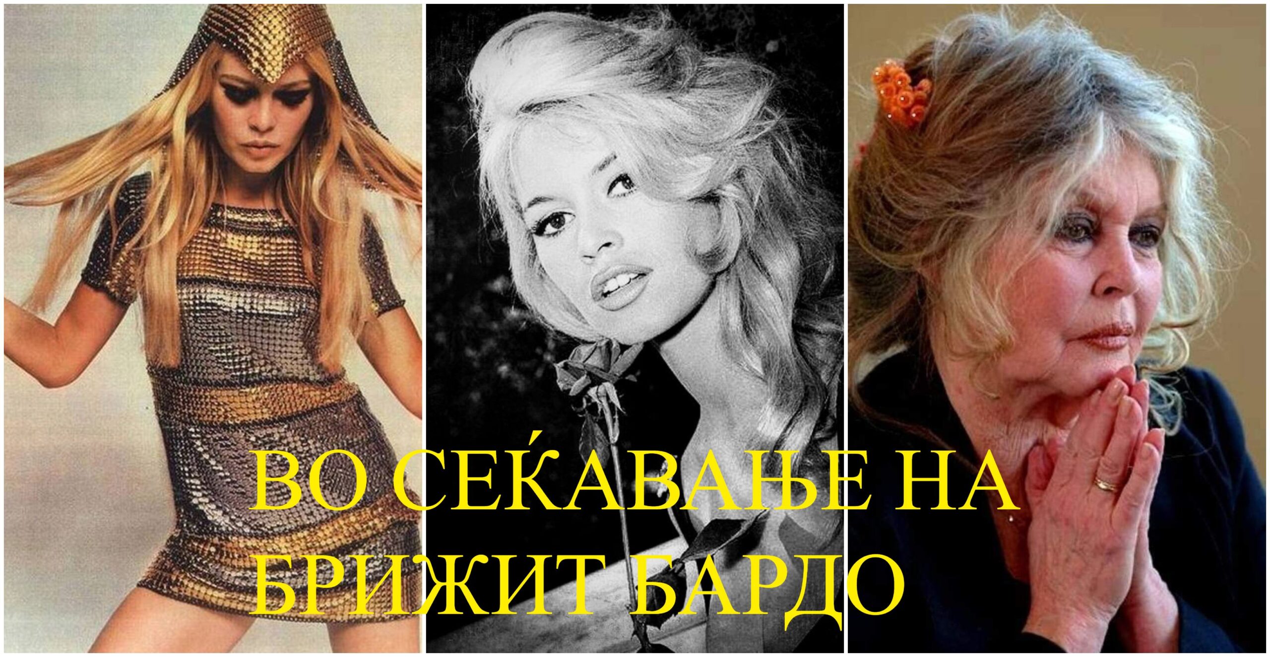 Филмска муза, културен земјотрес: замина Брижит Бардо, жената што ја смени жената во филмот
